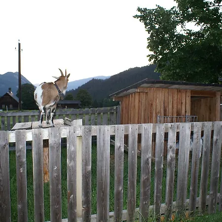 Oberhorner Schladming