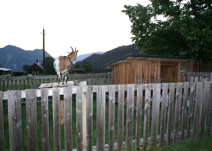 Oberhorner سخلادميخ